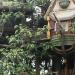 Jungle River Cruise in Hong Kong city