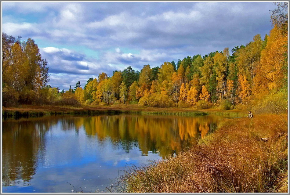 Берег реки Ветлуга