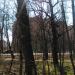 ул. 11 Сапёров, 3 в городе Нахабино