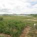 granja mahanttan na Patos city