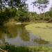 Matha Pokhari