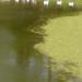 Matha Pokhari