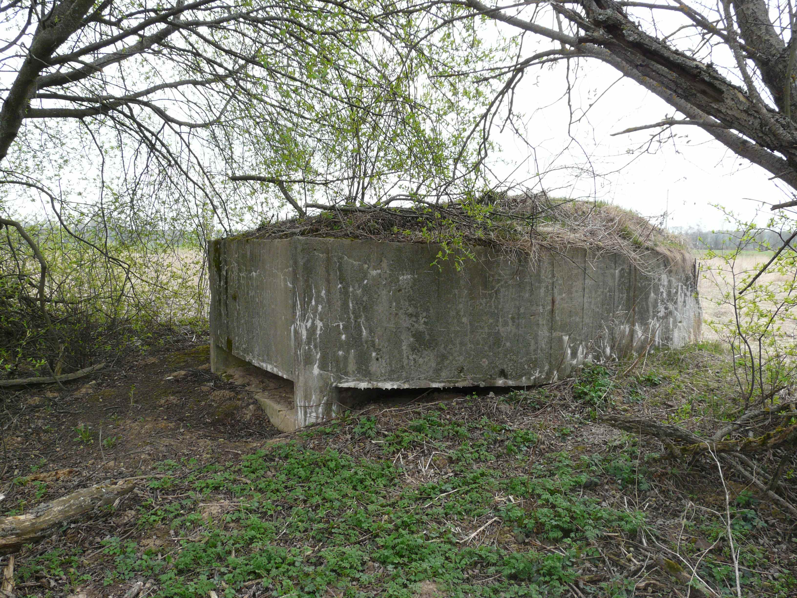 ДОТ 14