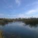 Болото в городе Гатчина