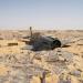 WW2 P40 Kittyhawk found after 70 years