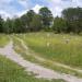 Lynch Cemetery