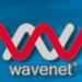 Wavenet SRL în Cluj-Napoca oraş