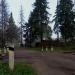 Железнодорожный переезд в городе Поварово