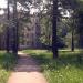81-й квартал, 9 в городе Ангарск
