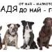 Зоомагазин 