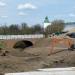 Автомобильный мост через р. Вондюгу в городе Сергиев Посад