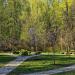 Роща сакуры (ru) in Moscow city