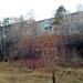95-й квартал, 19 в городе Ангарск