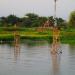 Fishing Port (en) in Lungsod ng Cabuyao, Laguna city