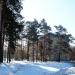 85-й квартал, 19 в городе Ангарск