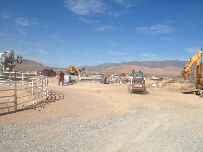 Desert Bloom Eco Farm