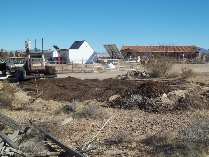 Desert Bloom Eco Farm