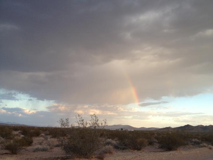Desert Bloom Eco Farm