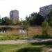 Lake in Brovary city
