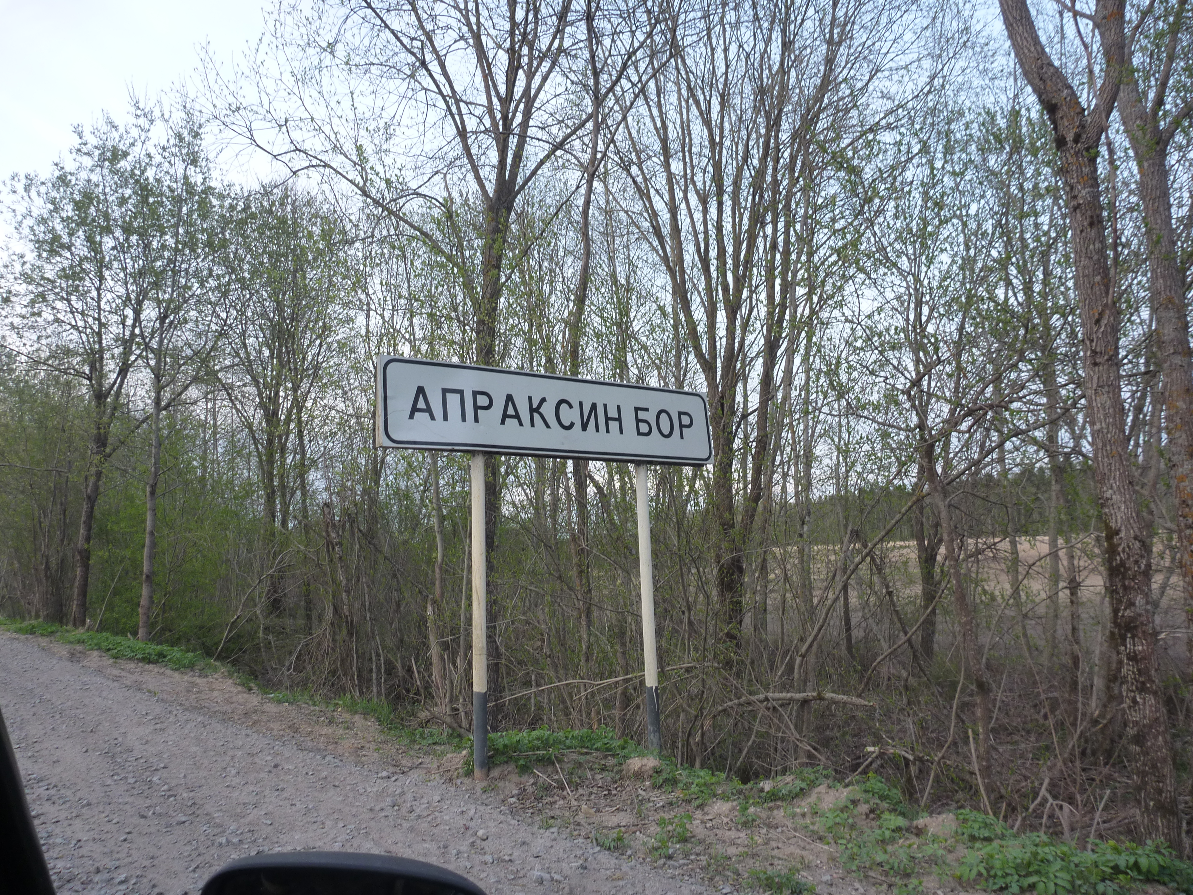 Апраксин Бор