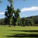 Sequoia Woods Country Club