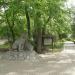 Zoo