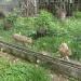 Zoo