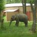 Zoo