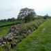 Calleva Atrebatum (Silchester Roman Town)