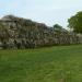 Calleva Atrebatum (Silchester Roman Town)