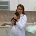 Kitty Puppy Veteriner Kliniği in İstanbul Büyükşehir Belediyesi city