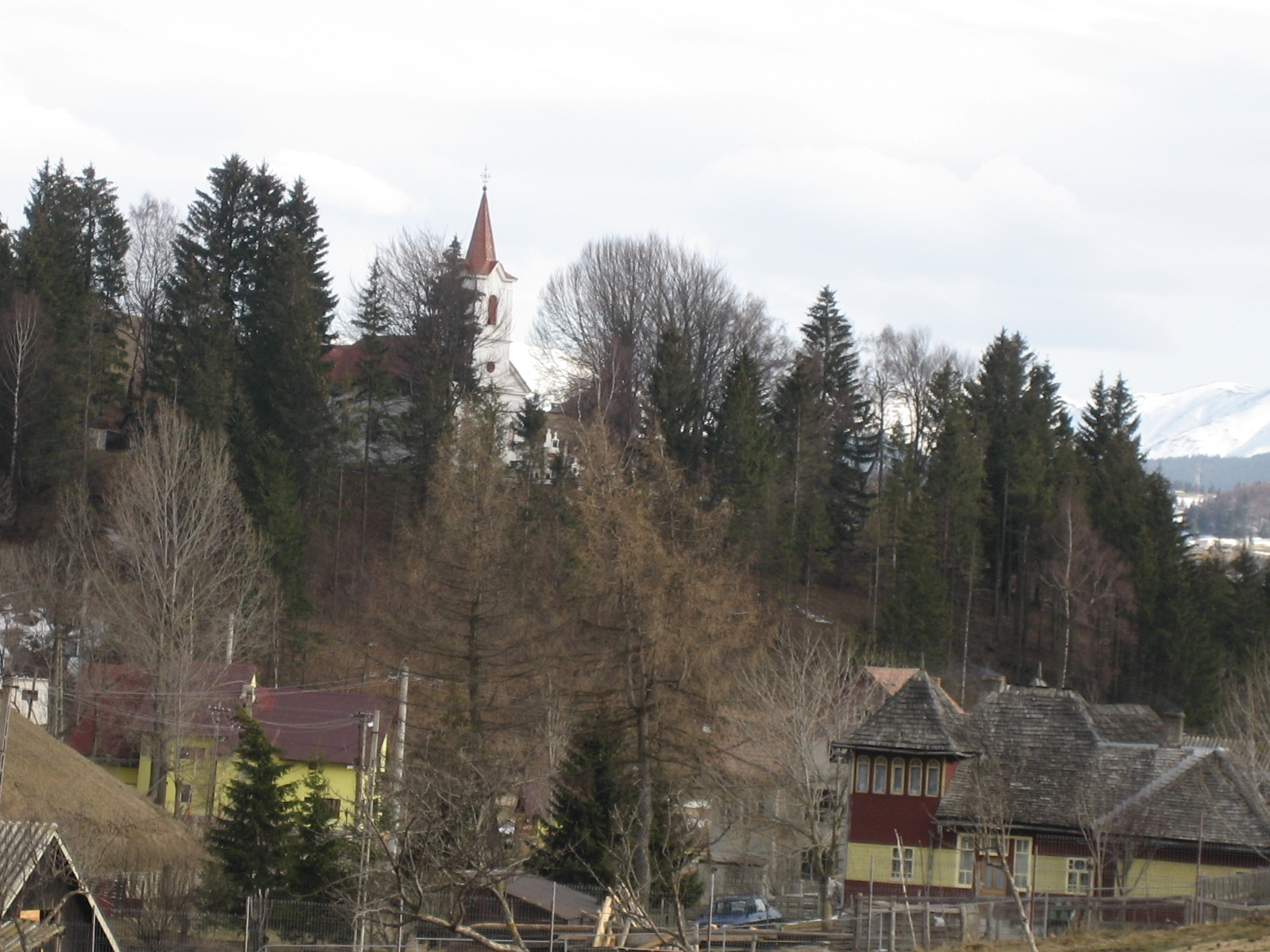 Sirnea (English)