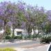 Общественный парк, детская площадка (ru) in Hadera city
