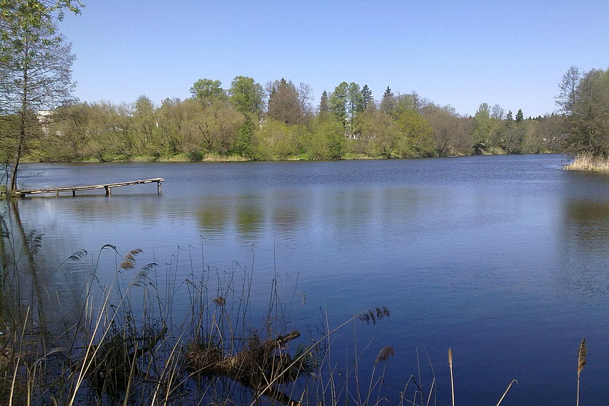 Dankovsky Pond - Данки (English)