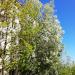 ул. Силкина, 8а в городе Саров