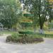 Клумба в городе Гомель