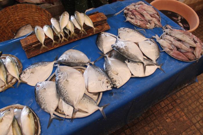 fish-market-salcette-margaon