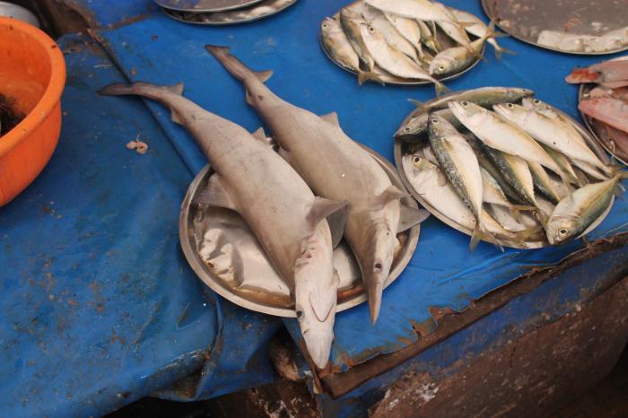 fish-market-salcette-margaon