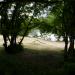 Wild Beach in Zhytomyr city