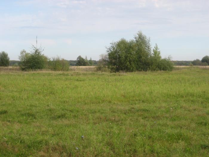Курган