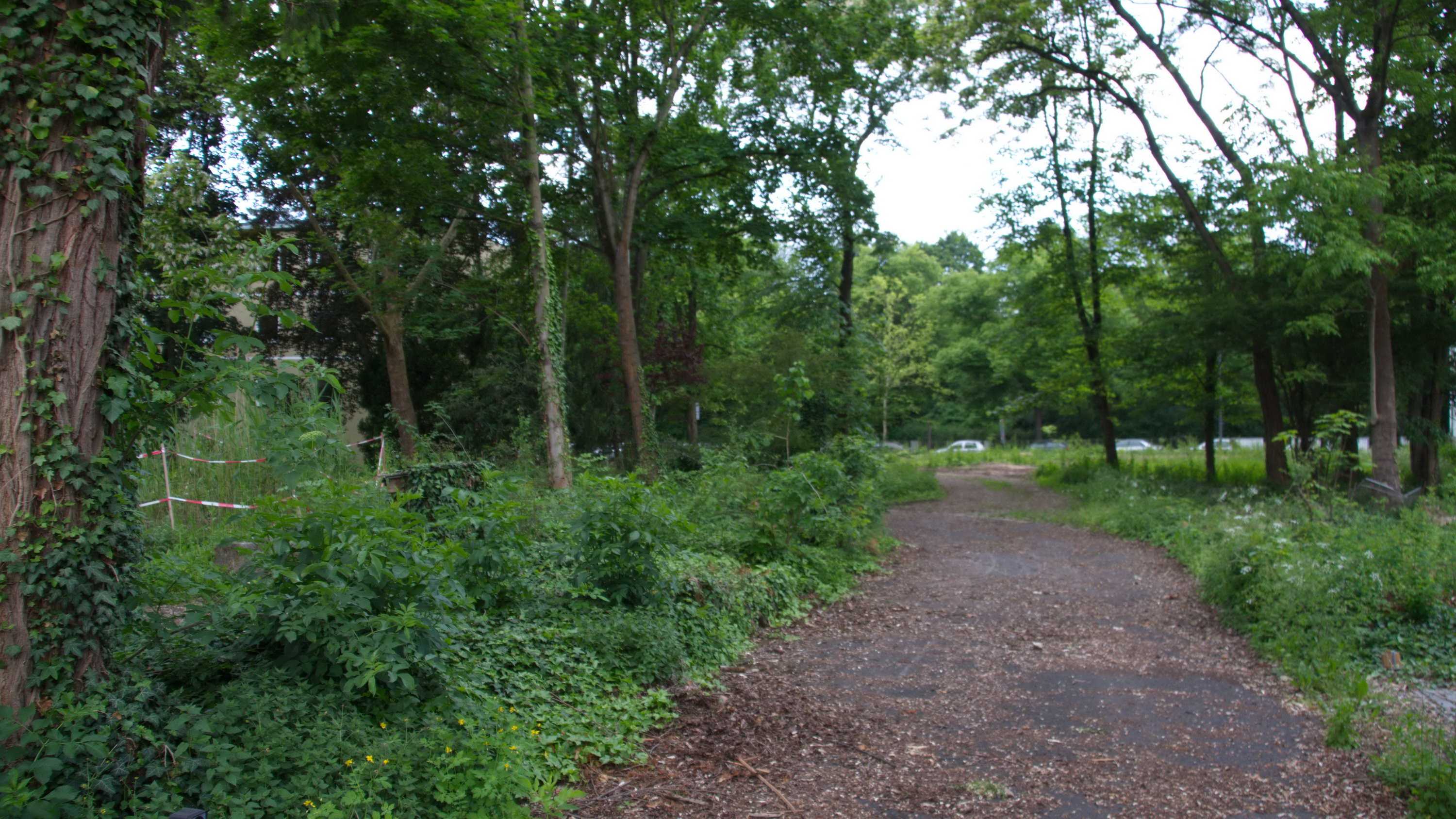 Platz'scher Garten Würzburg