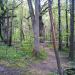Stary cmentarz in Gdynia city