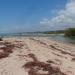 Foz do Rio Meirim na Maceió city