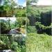 Cachoeira 5 Passos na Itirapina city