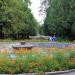 Клумба в городе Лермонтов