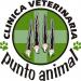 Clínica veterinaria Punto Animal en la ciudad de Santiago de Chile