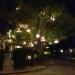 Chandelier Tree in Los Angeles, California city