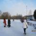 Башня сотовой связи ПАО «ВымпелКом» («билайн») в городе Ярославль