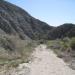 Big Morongo Canyon Preserve