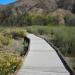 Big Morongo Canyon Preserve